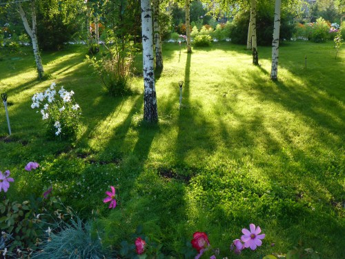 Ocean Beach resort garden on Issyk-Kul lake