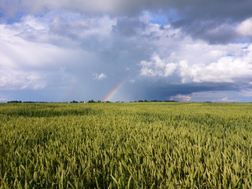 Storm over Marijampolé, Lithuania