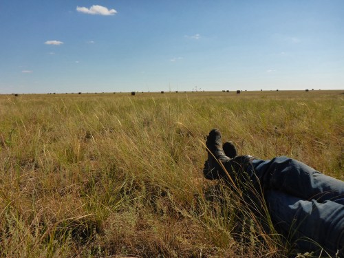 The expansive Steppes of Kazakhstan from a relaxed position