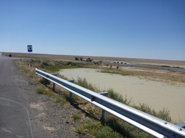 Love the Kazakhstan road signs for rest area - trees?!