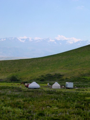 Yurts and herds, Kyrgyzstan