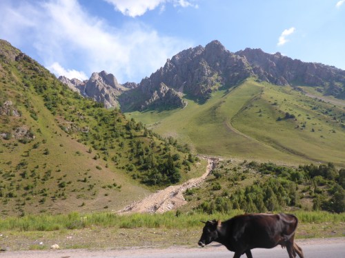The scenery keeps changing on our way down from Ala-Bel Pass, Kyrgyzstan