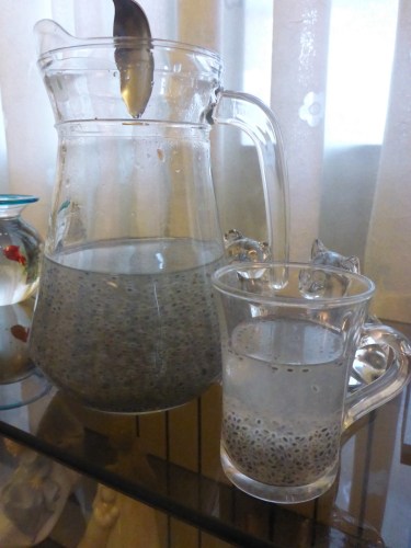 Delicious basil flower seed drink which Saba's aunt introduced us to - Tehran, Iran