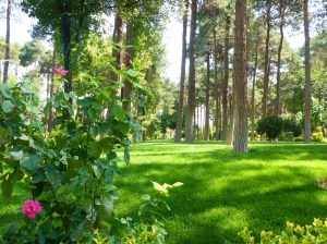 Park surrounding Chehel Sotun palace, Isfahan, Iran