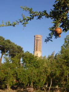 A pomegranate orchard surrounds Dolat Abad, Yazd, Iran