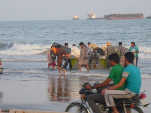Unloading new car doors, Banda Abbas, Iran
