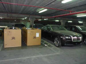 Streak and Storm get picked up tomorrow morning and will fly to Delhi with Emirates' Skycargo