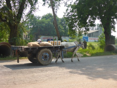 This driver has got the right idea!!