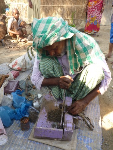 Chopping chewing tobacco between Chhapra and Muzaffarpur, India