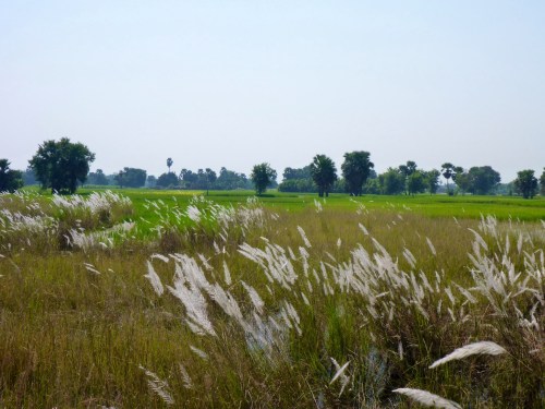 On our way to Muzaffarpur, India