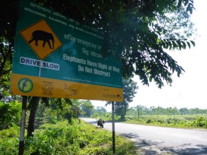 These signs were along our road for hours but we didn't come across any elephants