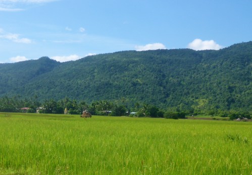 Pagodas dotted the scenery in this stunning valley