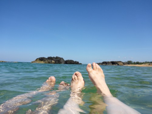 Transmission interrupted...