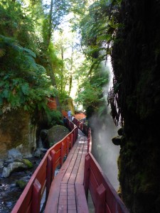 Termas Geometricas, Coñaripe