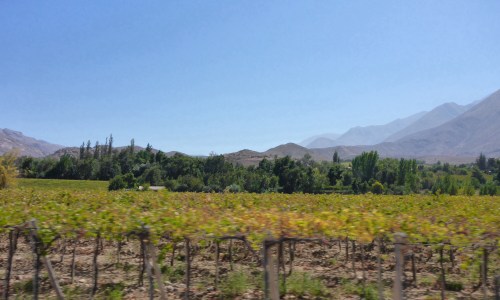 Elqui Valley outside Vicuña