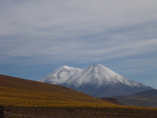 Lascar volcano seen from Miscanti lagoon