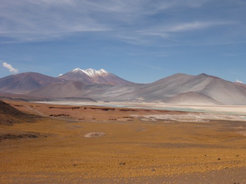 Salar de Talar