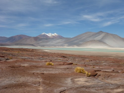 Salar de Talar