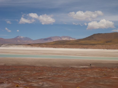 Anthony walking back from the water's edge at the Salar de Talar