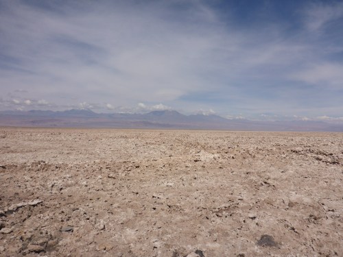 National Flamingo Reserve within the Salar de Atacama