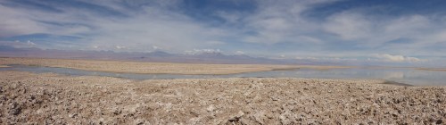 National Flamingo Reserve within the Salar de Atacama