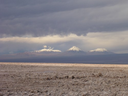 National Flamingo Reserve within the Salar de Atacama