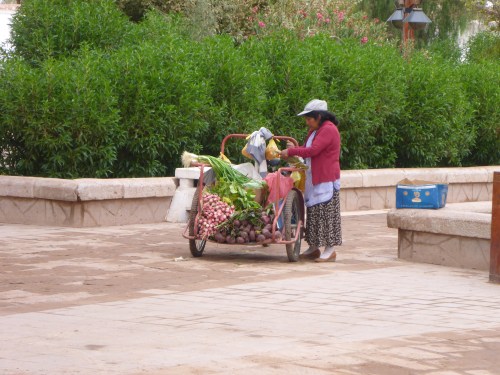 Fresh vegetable seller on San Pedro de Atacama town square