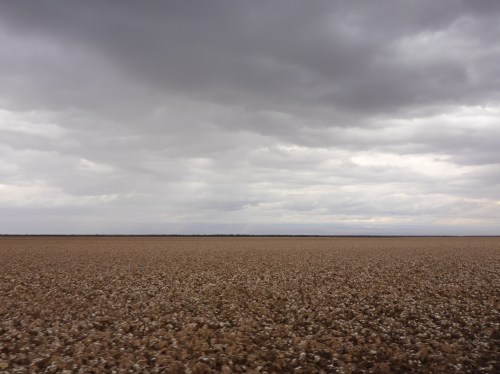Salar de Pintados national park