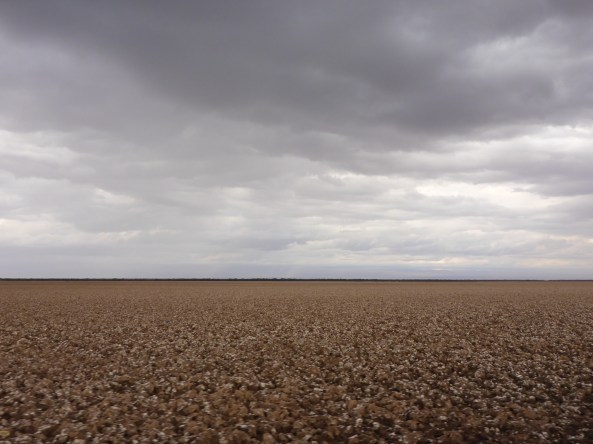 Salar de Pintados national park