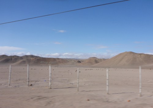 The largest Coca-Cola logo (50x120 metres) made out of 70,000 empty bottles outside Arica
