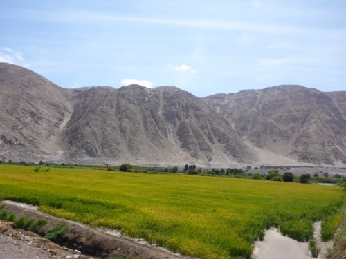 The lush green valley along the river Tambo