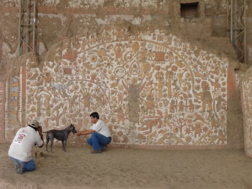 Huaca de la Luna, mural wall  with an Peruvian hairless dog in blue