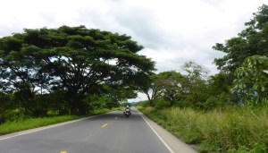 Loving the green in Ecuador