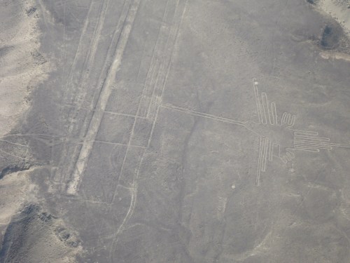 The hummingbird geoglyph.