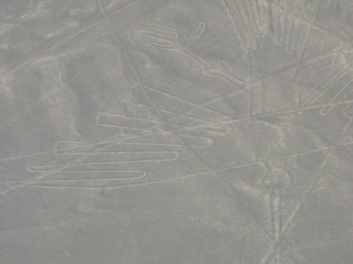 The condor geoglyph.