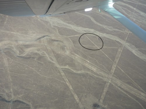 Hard to see, but in the circle is the whale geoglyph.