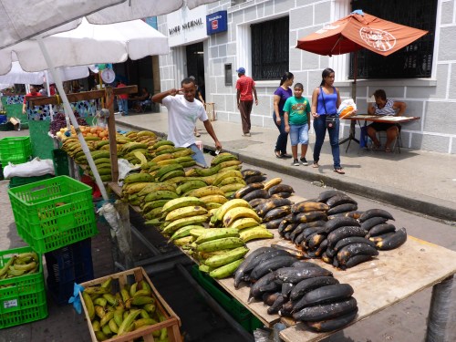 Banana seller, Panama City