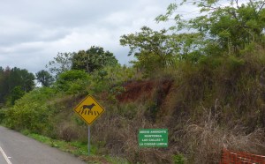 Would love to know what this sign means, Panama