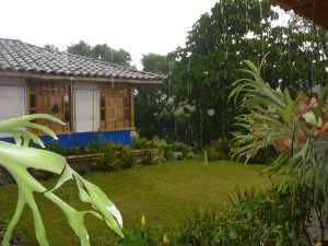 Loving sitting on the porch watching and listening to the rain pelting down