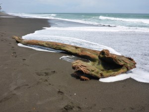 Playa Hermosa, Costa Rica
