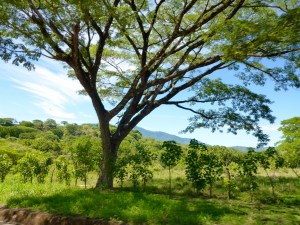 On our way to San Jose, Costa Rica