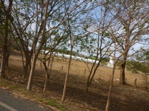 Horizontal and broken off wind turbine.