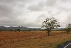 Not what we expected in tropical Central America