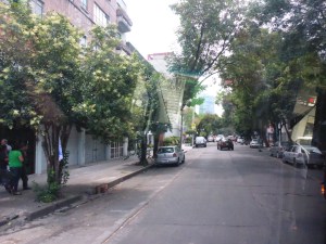 Mexico City is so green