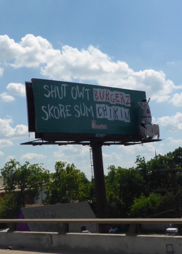 Clever cows, in Texas