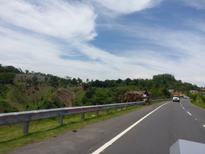Coconut sellers in El Savador