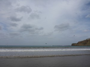 Pelican diving for fish at San Juan del Sur, Nicaragua