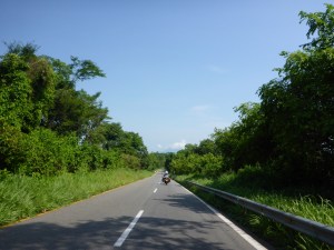 Overgrown grass or safety barrier in Mexico?