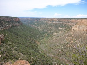 Mesa Verde National Park