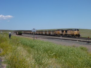 Union Pacific coal train waits for a green signal.